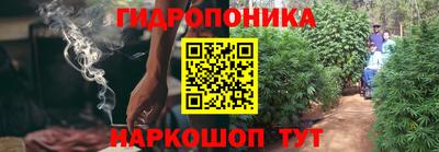 шишки Жуковский