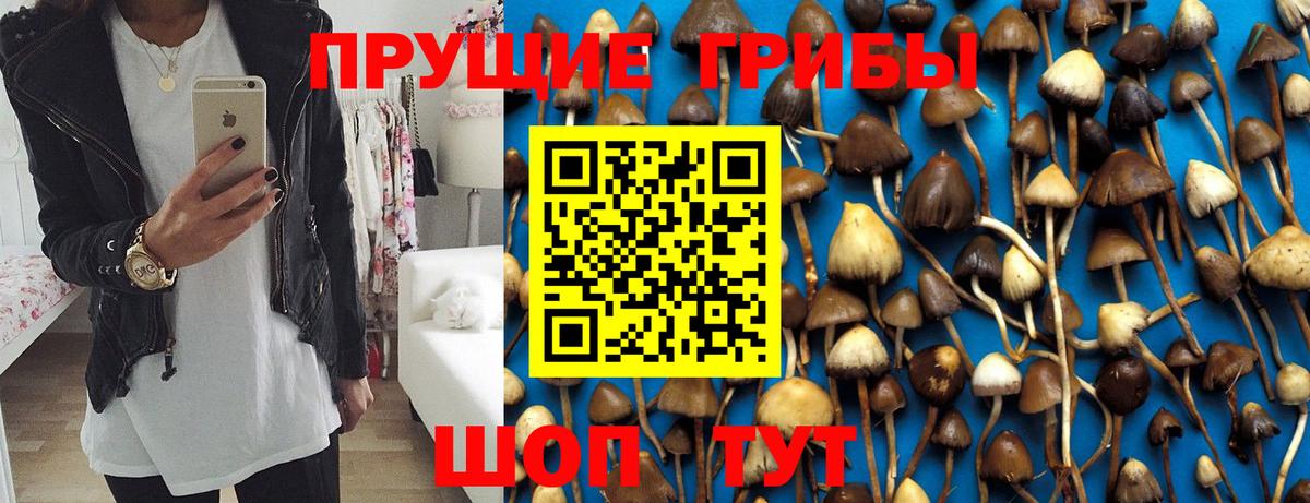Галлюциногенные грибы Magic Shrooms  Вход с VPN  Искитим 